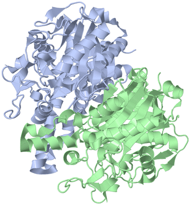 Image Asym./Biol. Unit