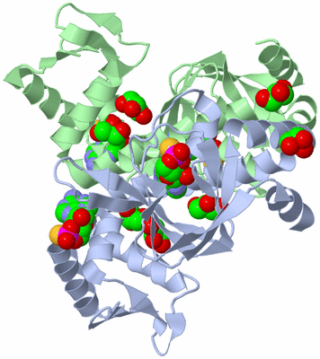 Image Asym./Biol. Unit