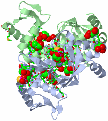 Image Asym./Biol. Unit - sites