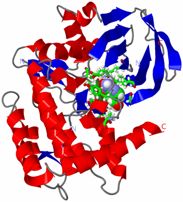 Image Asym./Biol. Unit - sites