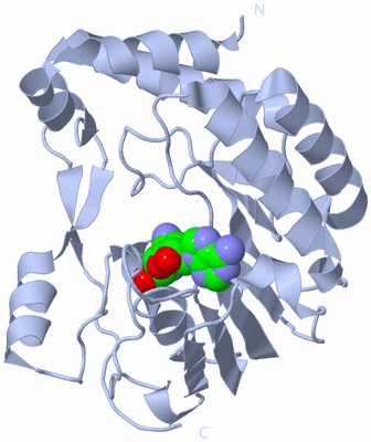 Image Biological Unit 1