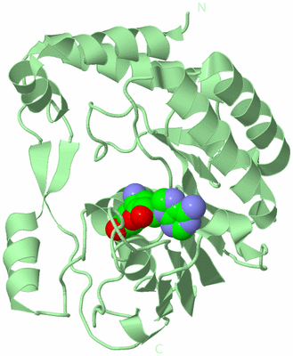 Image Biological Unit 2