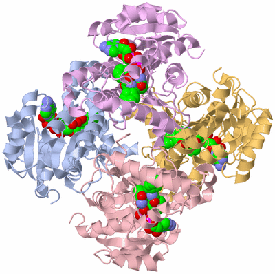 Image Asym./Biol. Unit