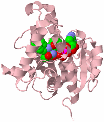 Image Biological Unit 2