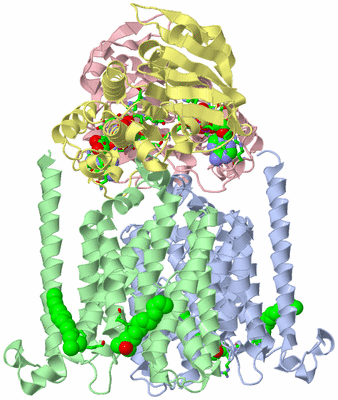 Image Asym./Biol. Unit - sites