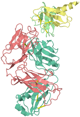 Image Biological Unit 1