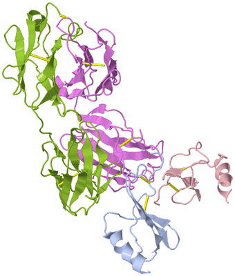 Image Biological Unit 2