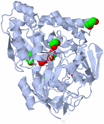 Image Biological Unit 1