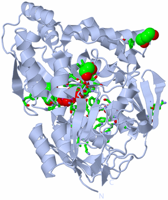 Image Biol. Unit 1 - sites