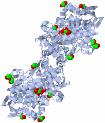 Image Biological Unit 2