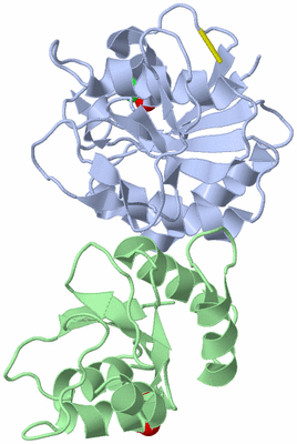 Image Biological Unit 1