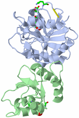 Image Biol. Unit 1 - sites