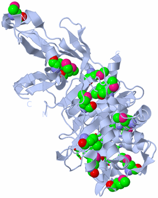 Image Biol. Unit 1 - sites