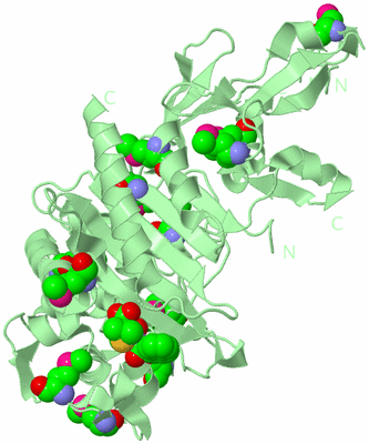 Image Biological Unit 2