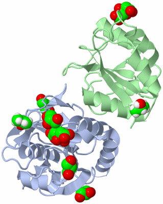 Image Asym./Biol. Unit