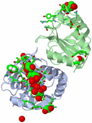 Image Asym./Biol. Unit - sites