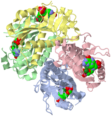 Image Asym./Biol. Unit