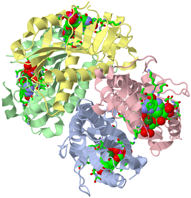 Image Asym./Biol. Unit - sites