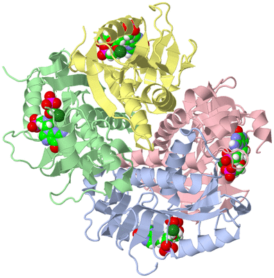 Image Biological Unit 1