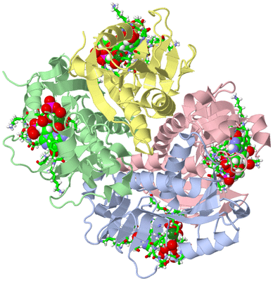 Image Biol. Unit 1 - sites