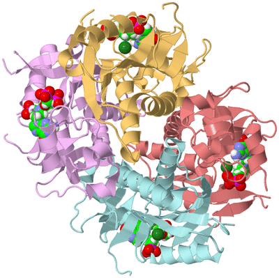 Image Biological Unit 2