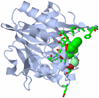 Image Biol. Unit 1 - sites