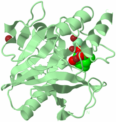 Image Biological Unit 2