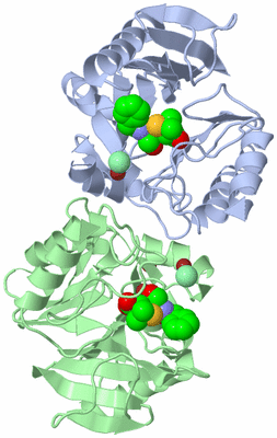 Image Biological Unit 3