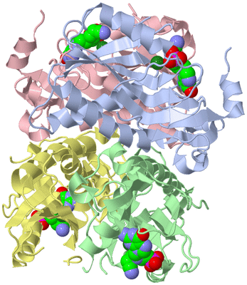 Image Asym./Biol. Unit