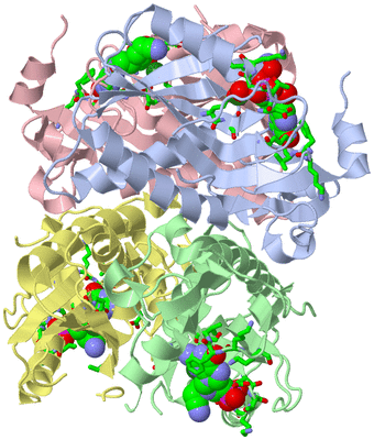 Image Asym./Biol. Unit - sites