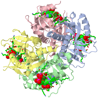 Image Asym./Biol. Unit - sites