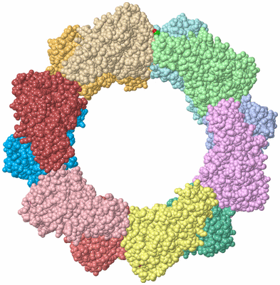 Image Asym./Biol. Unit