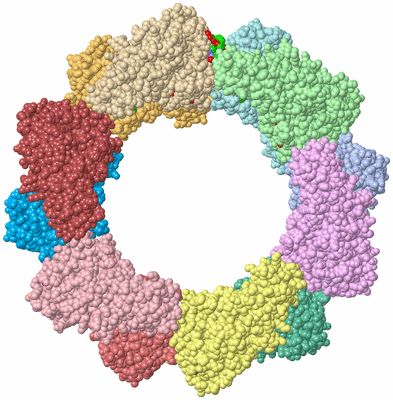 Image Asym./Biol. Unit - sites