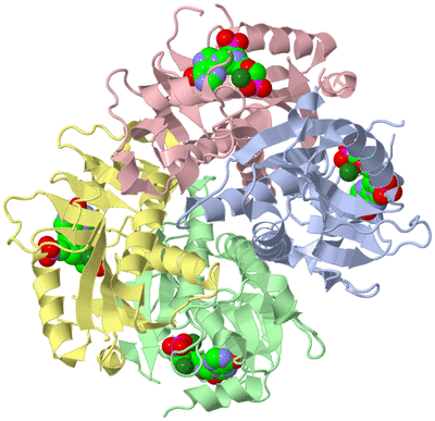 Image Asym./Biol. Unit