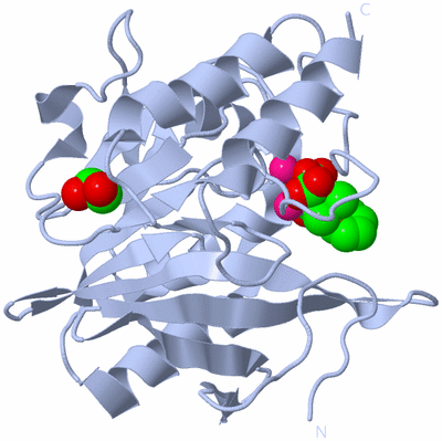 Image Biological Unit 1