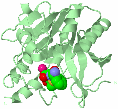 Image Biological Unit 2