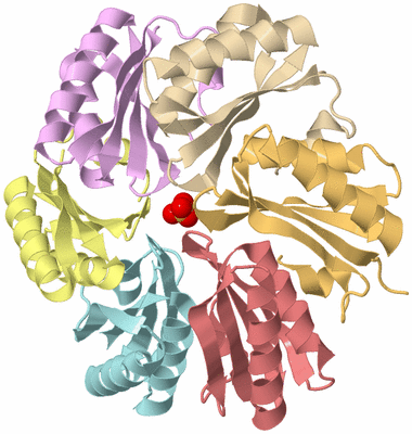 Image Biological Unit 2