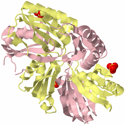 Image Biological Unit 2