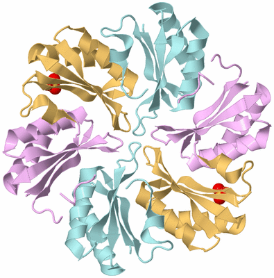 Image Biological Unit 3