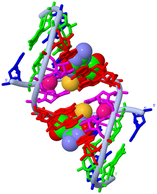 Image Biological Unit 1