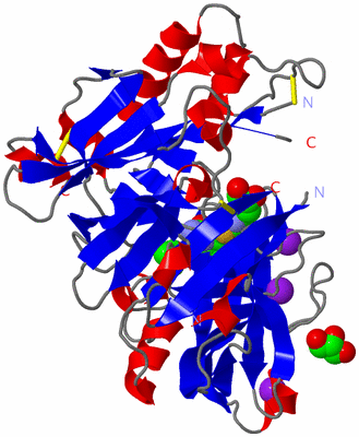 Image Asym./Biol. Unit