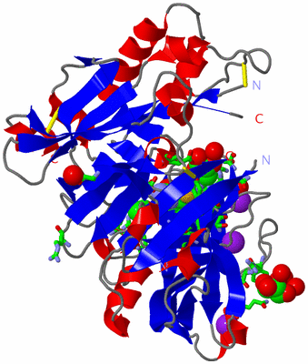 Image Asym./Biol. Unit - sites