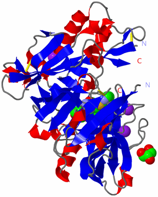 Image Asym./Biol. Unit