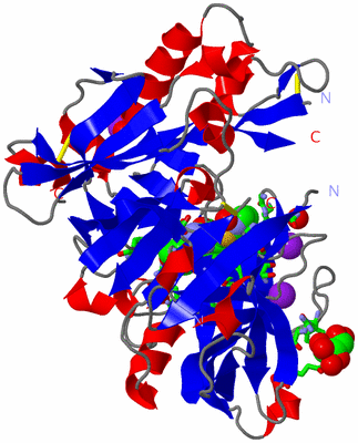 Image Asym./Biol. Unit - sites