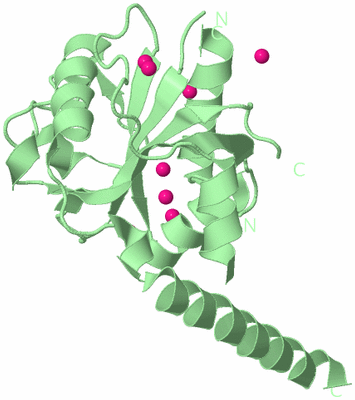 Image Biological Unit 2