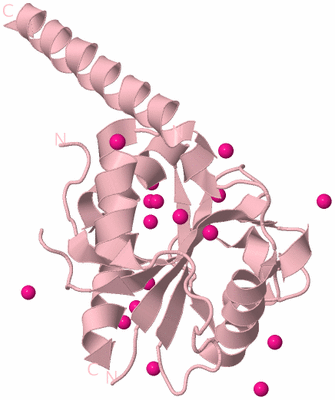 Image Biological Unit 3