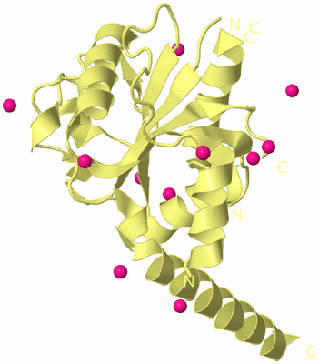 Image Biological Unit 4