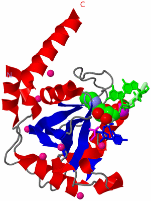 Image Asym./Biol. Unit