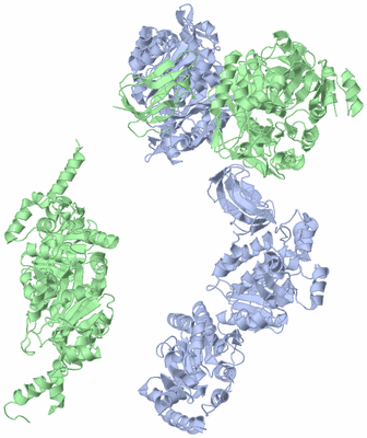 Image Asymmetric Unit