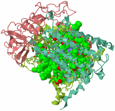 Image Asym./Biol. Unit - sites